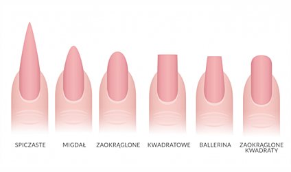 Shapes of nails, or how to file them