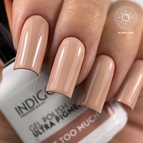 Lakier hybrydowy Ultra Pigment Not Too Much